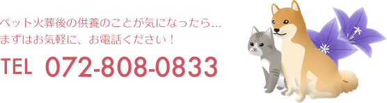 ペット火葬後の供養のことが気になったら……まずはお気軽に、お電話ください！072-808-0833