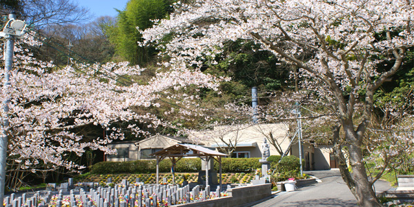 自然の緑に包まれたペット霊園