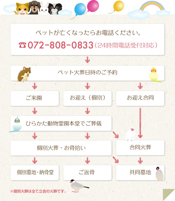 ペットが亡くなったらお電話ください。　０７２－８０８－０８３３（24時間電話受付対応）　ペット火葬日時のご予約　ご来園　お迎え（個別）　お迎え合同　ペット火葬大阪本堂でご葬儀　個別火葬・お骨拾い　合同火葬　別墓地・納骨堂　ご返骨　共同墓地　個別火葬は全て立会の火葬です。